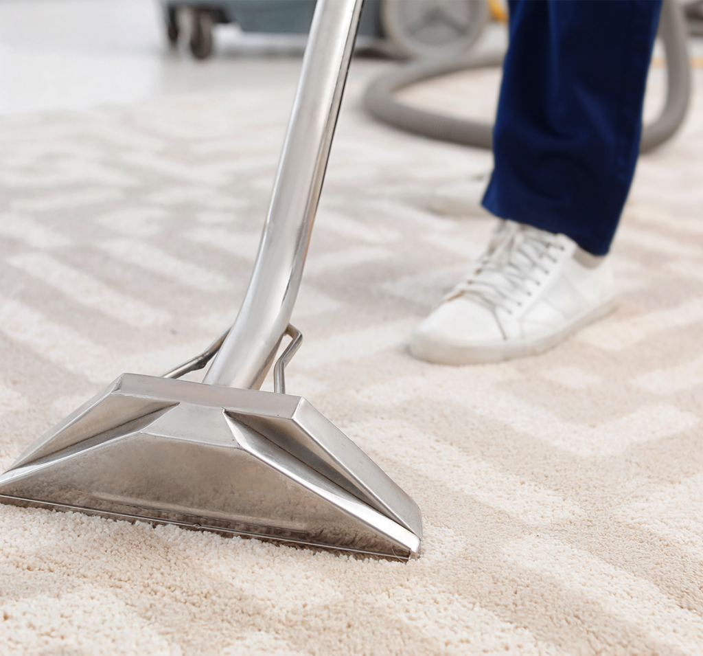 Professional Carpet Cleaning for Homes and Businesses